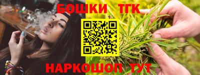 гашик Дубна