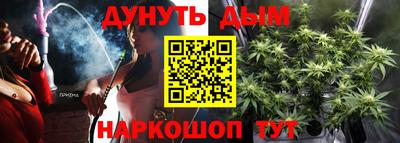 гашик Дубна
