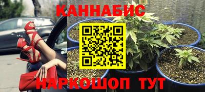 a pvp Донской