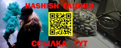 гашик Дубна