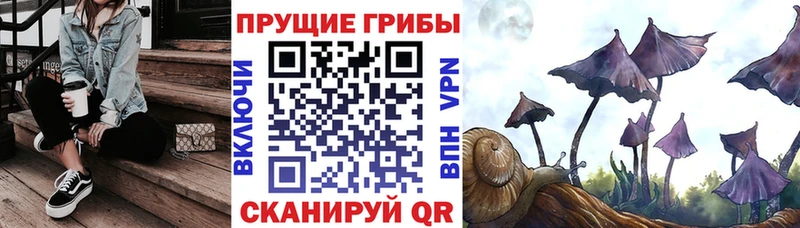 Псилоцибиновые грибы MAGIC MUSHROOMS  Минусинск 