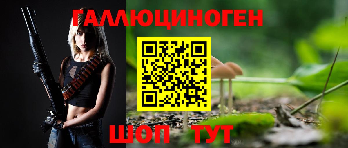 Минусинск  Псилоцибиновые грибы MAGIC MUSHROOMS  Вход с VPN 